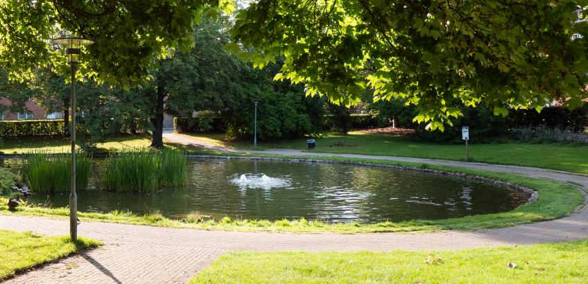 Branddam i parken ved Lindehaven